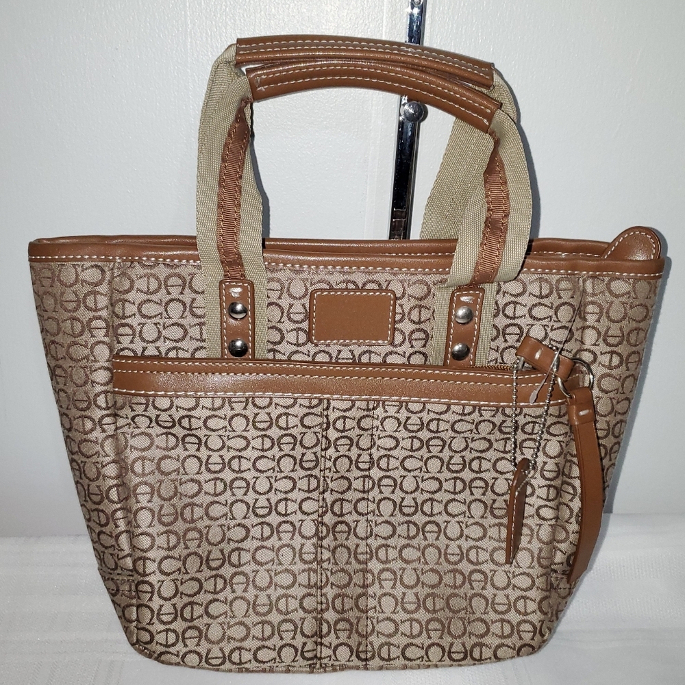 Heche En Handbag
